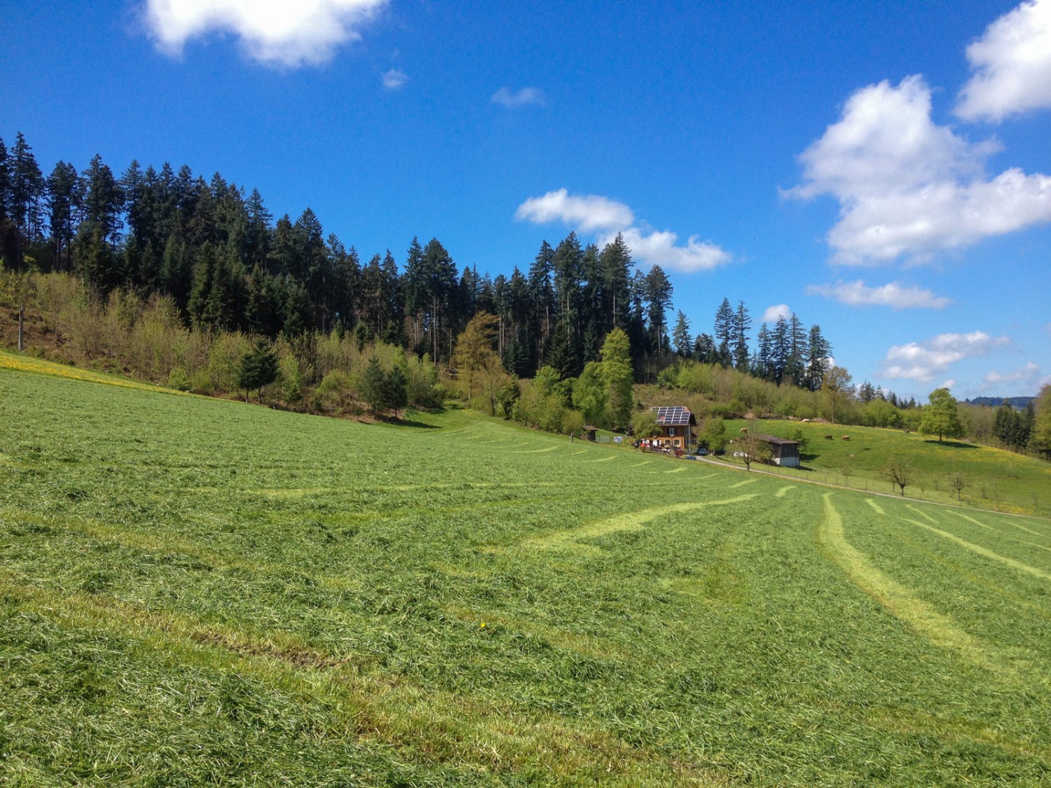 Schnell ist man mitten im Landwirtschaftsgebiet. Bild: Claudia Peter