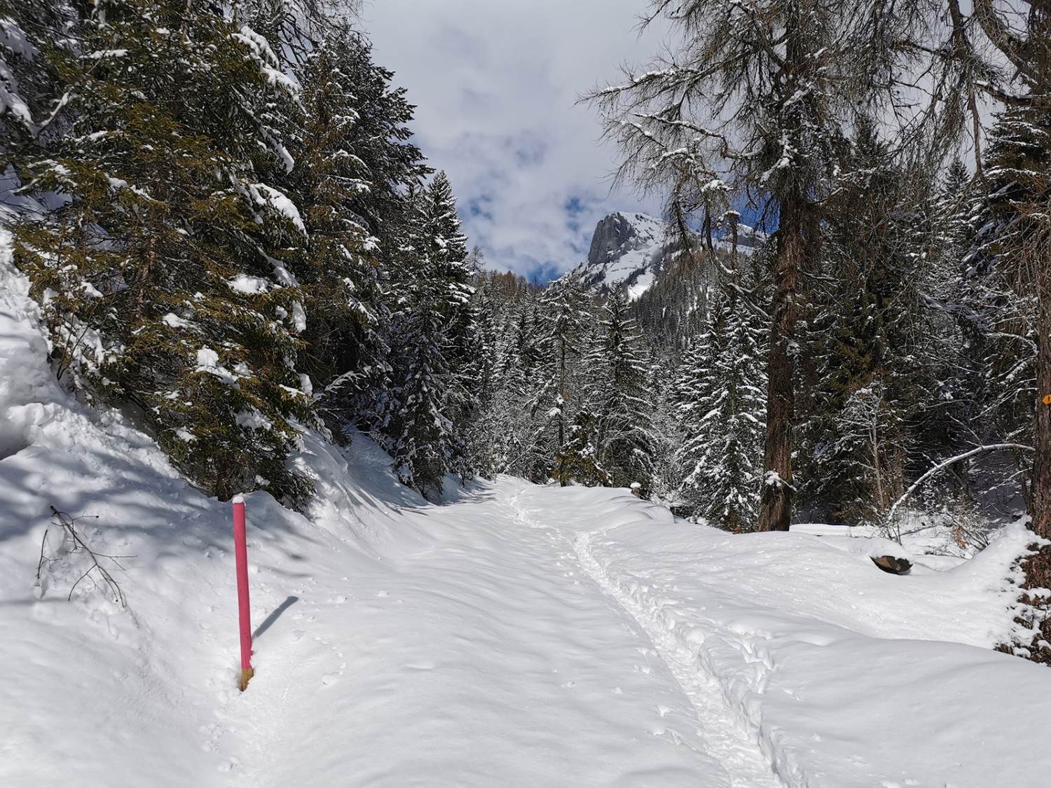 A la fin de la randonnée se trouvent les gorges de la Salentse.