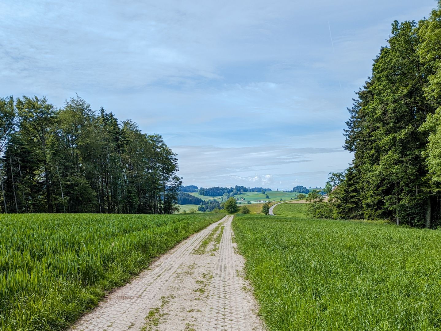 Que l’on regarde à gauche ou à droite, on voit constamment des prairies verdoyantes.