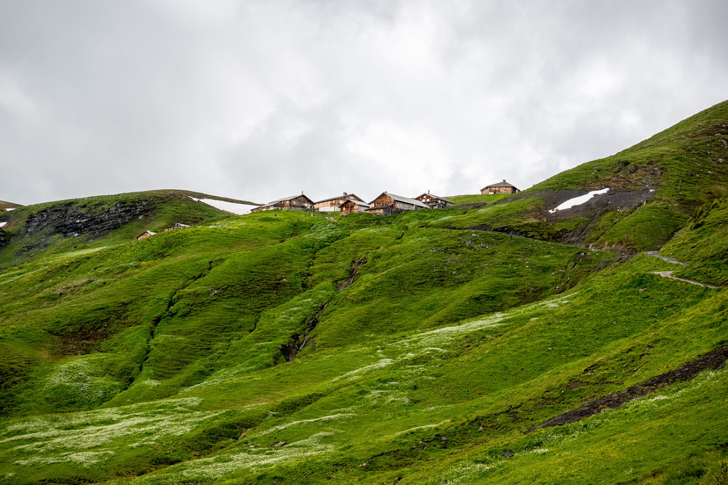 Alp Grindelfeld.