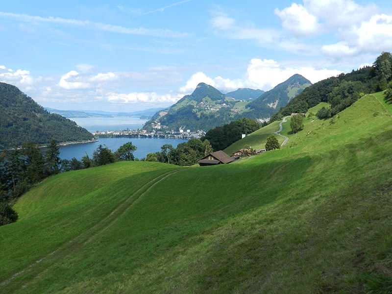 Der Blick fällt über den Alpnachersee auf den Vierwaldstättersee. Bilder: Patricia Michaud