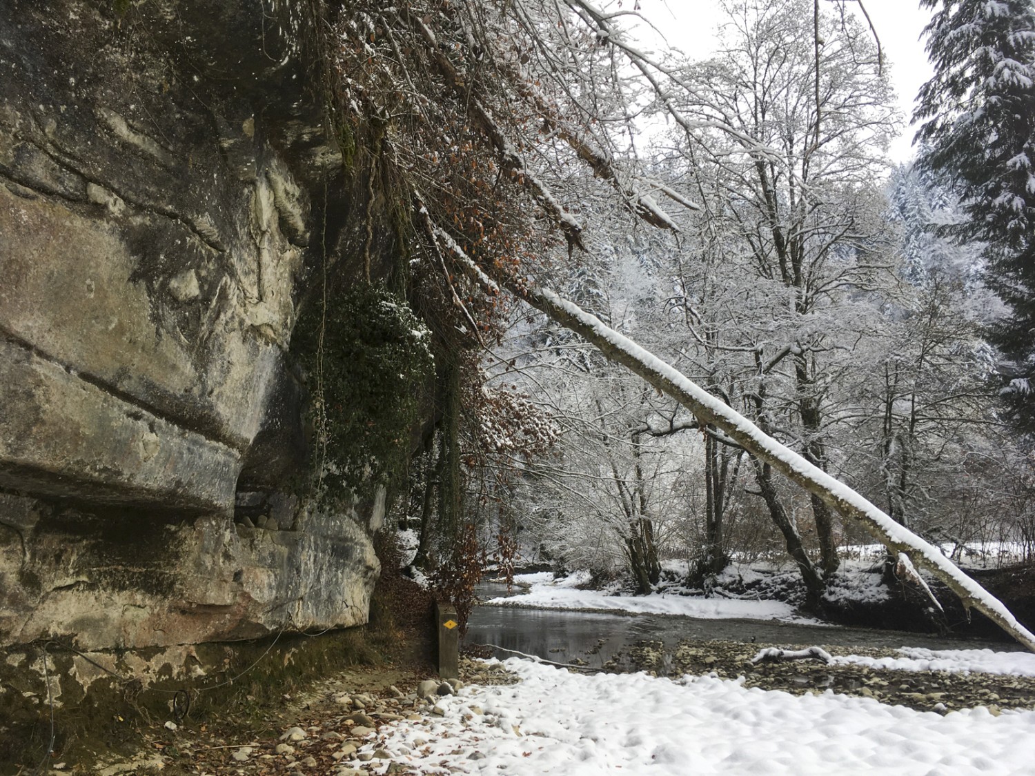 Sandsteinwände und wilder Wald im Schwarzwassergraben. Bild: Jürg Steiner