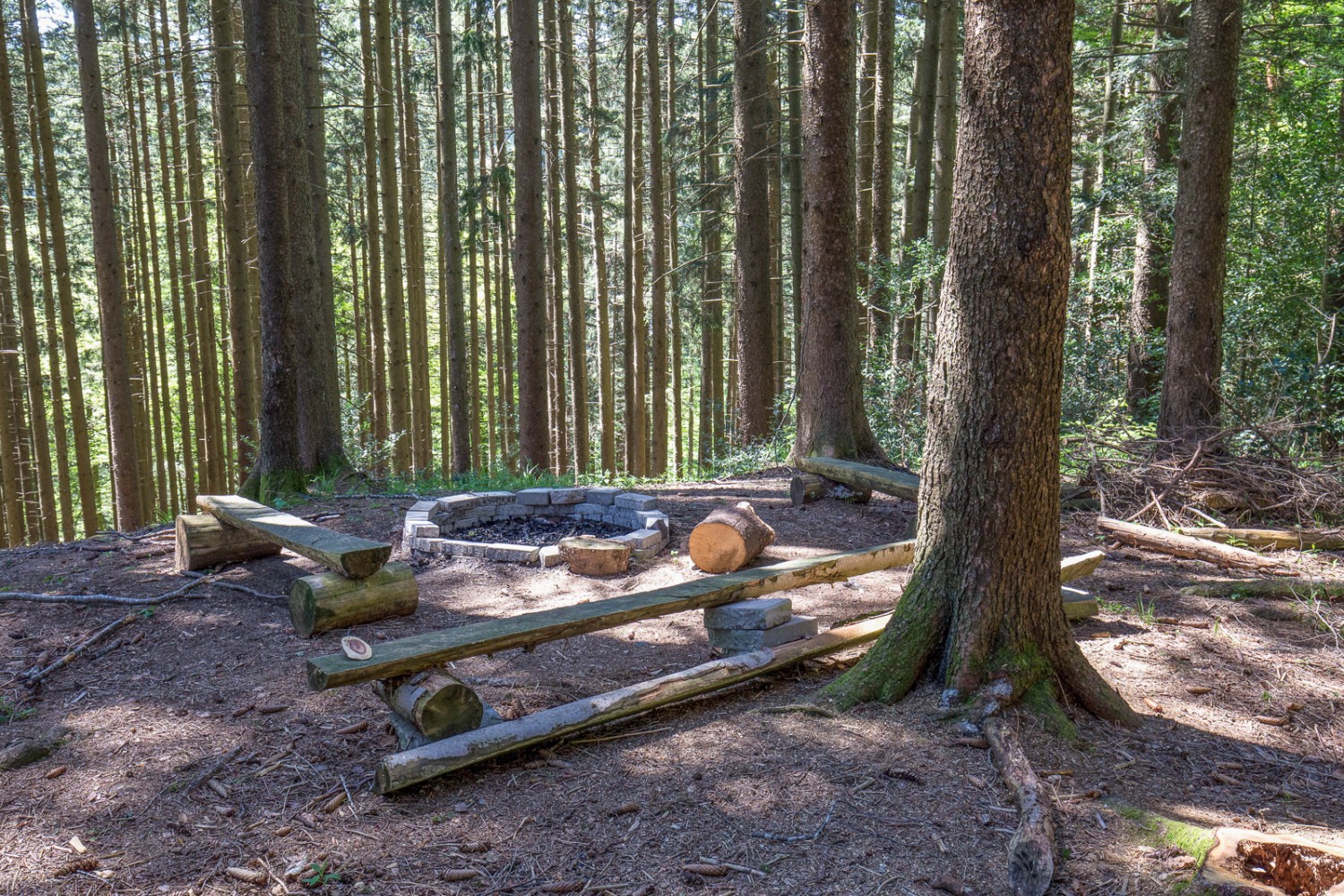 Im Aufstieg von Ledi auf St. Anton wandert man erst duch lauschigen Wald mit Feuerstelle ... Bild: Daniel Fleuti 