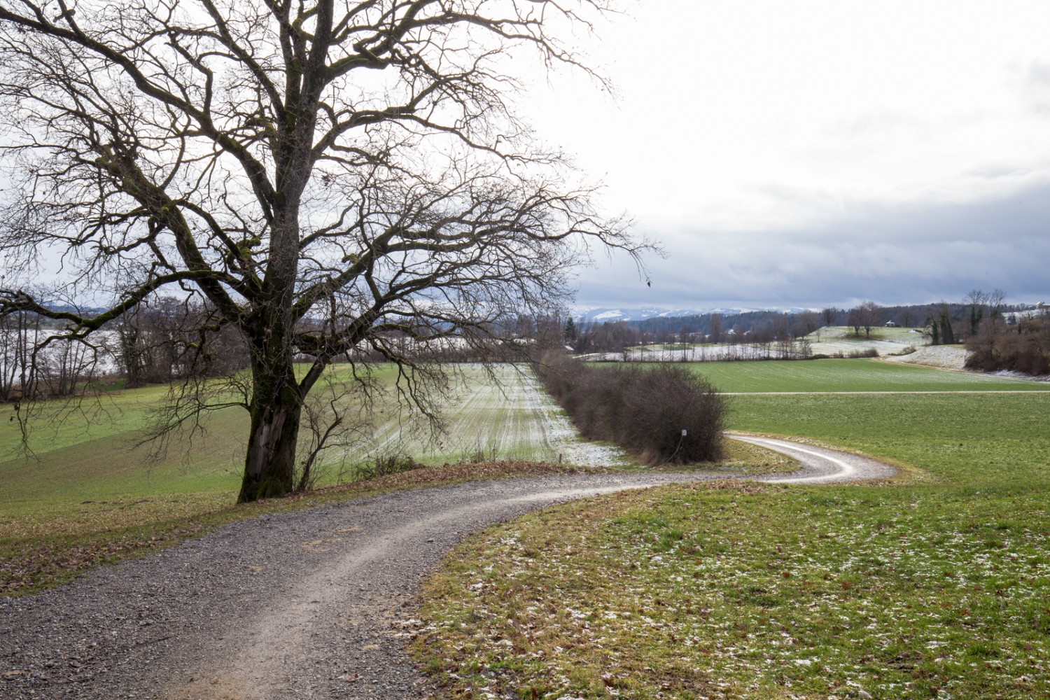 Peu après le départ de la randonnée à Maur. Vue sur le lac de Greifen, en direction de Bachtel. Photo: Daniel Fleuti