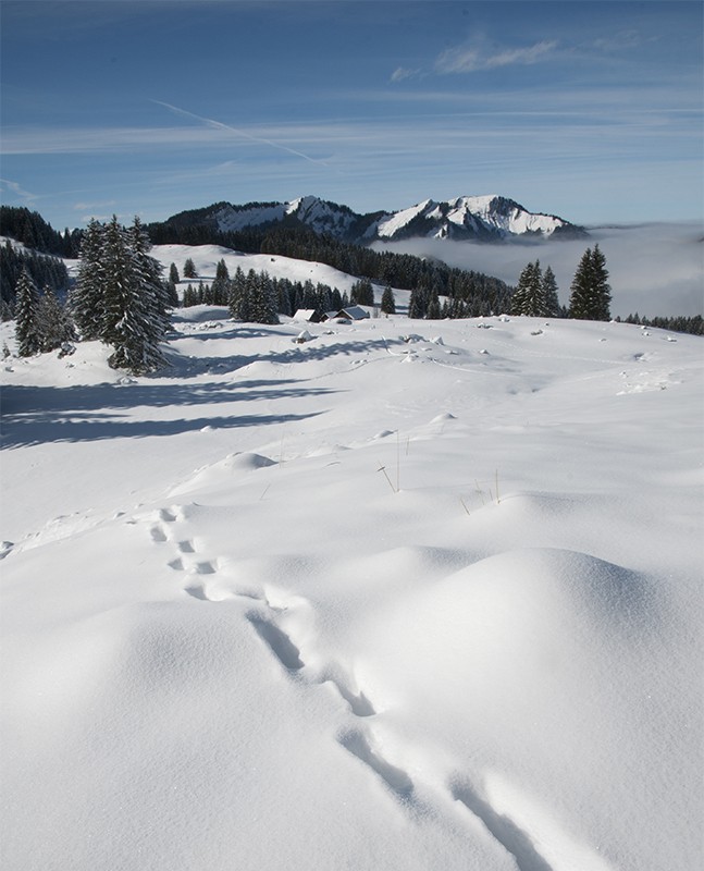 Hoch über dem Nebelmeer läufts sich gut. Bilder: Heinz Staffelbach