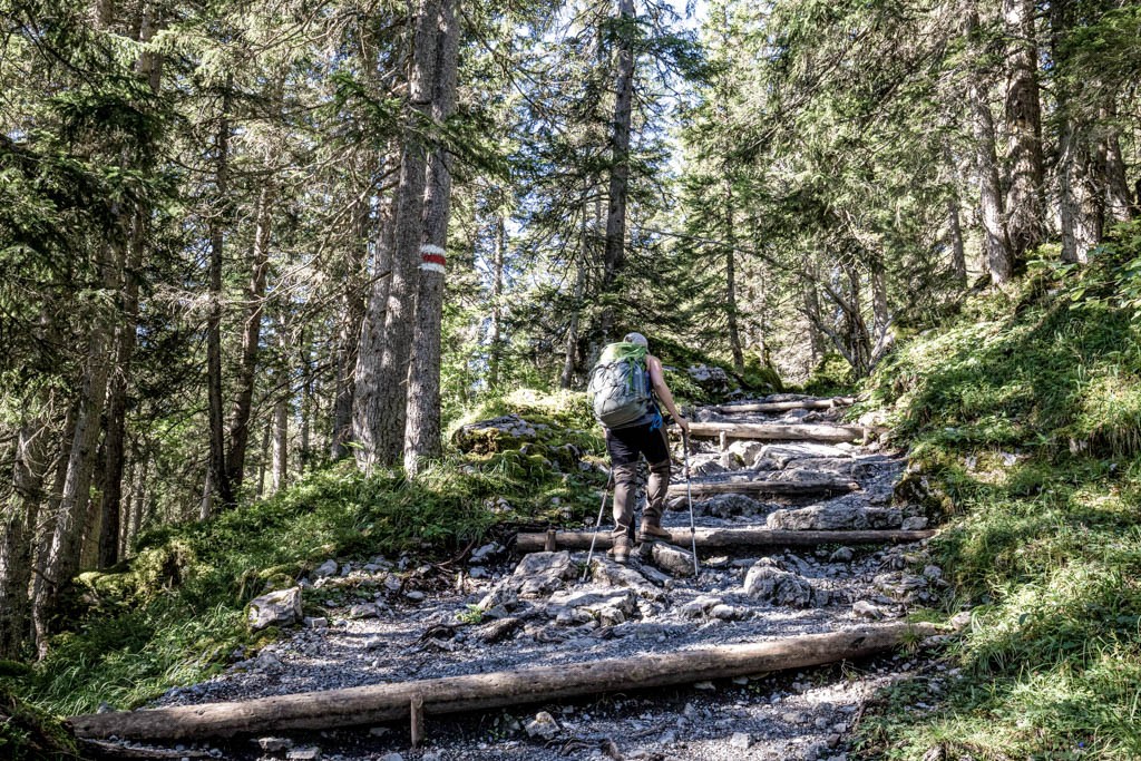 Die ersten Höhenmeter macht man im Wald, und ist froh um den Schatten. Bild: Daniel Fleuti