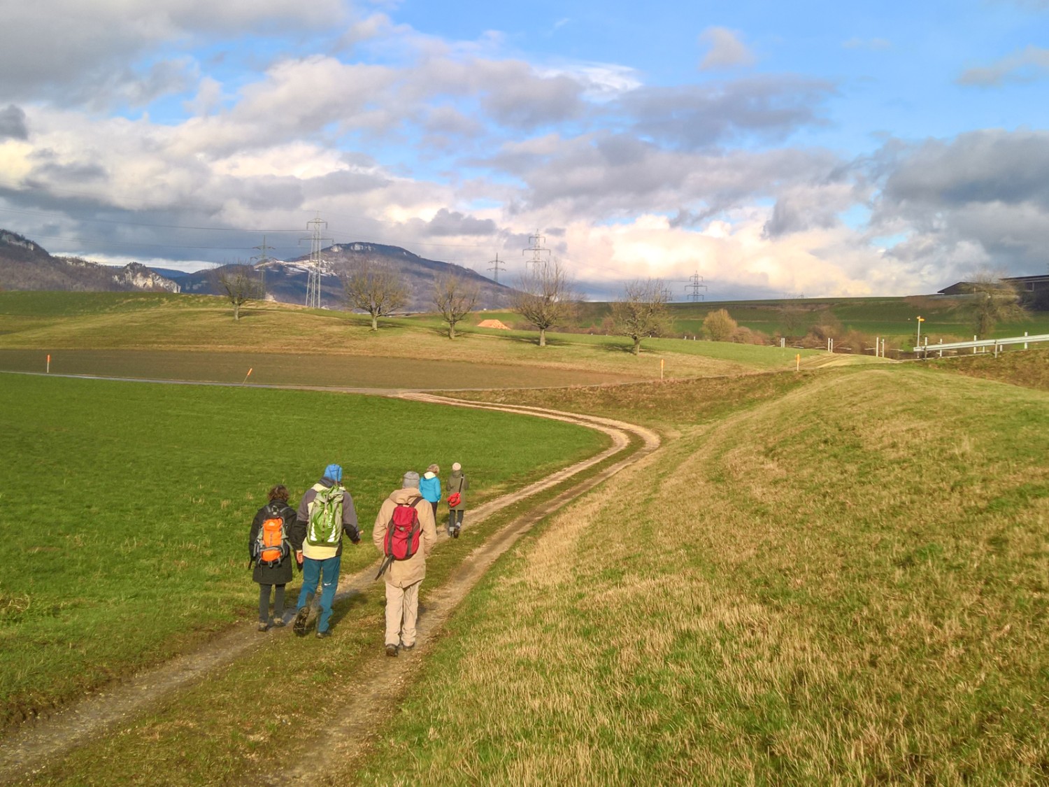 Sur le chemin entre Oberbipp et le Längwald. Photo: Andreas Staeger