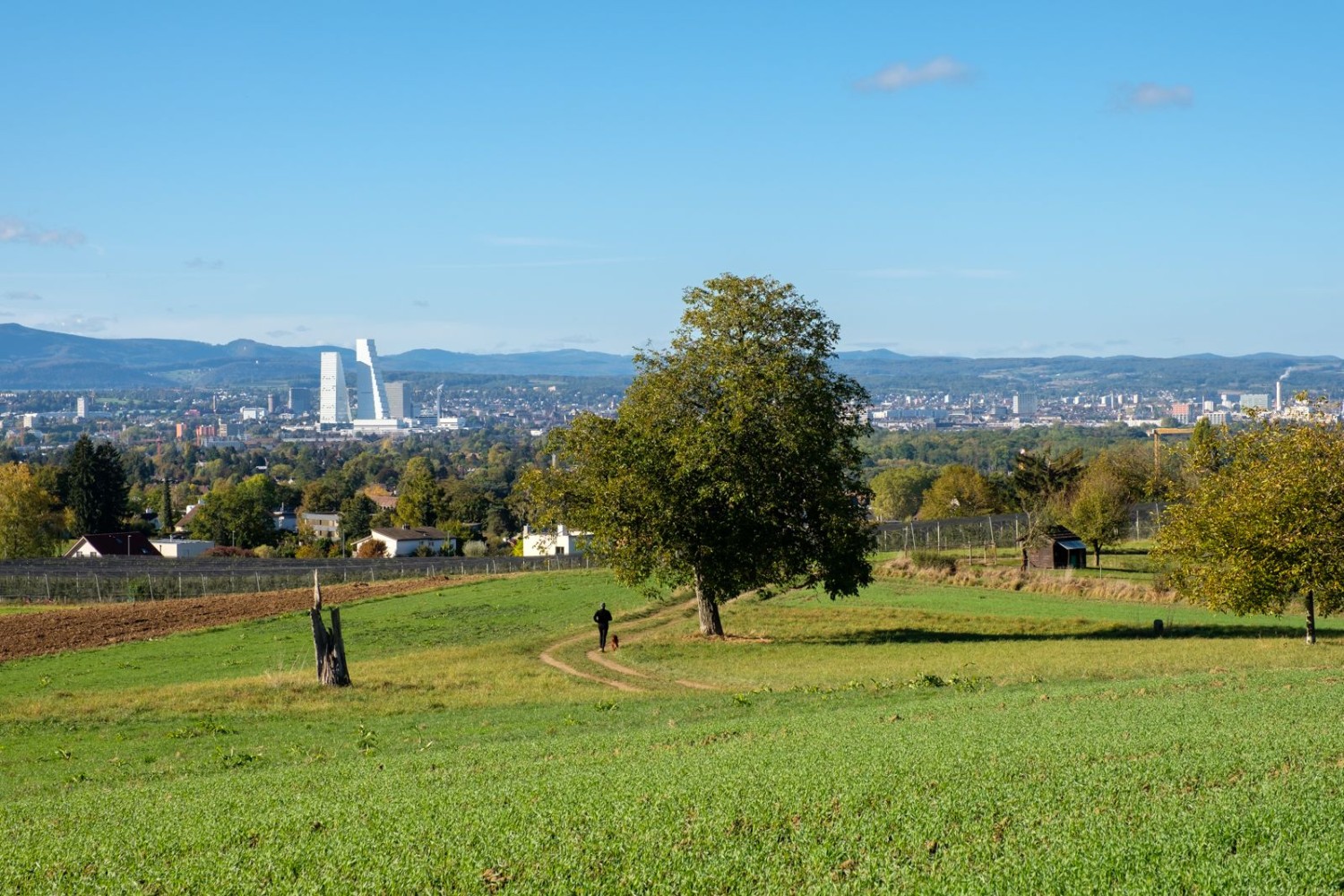 Ausblick vom Maienbühl, die Roche-Türme prägen die Agglomeration von Basel.