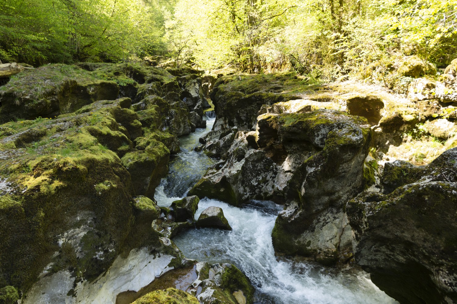 Die Orbe hat vor Jahrtausenden Gletschertöpfe in den Fels gefressen. Bild: Raja Läubli