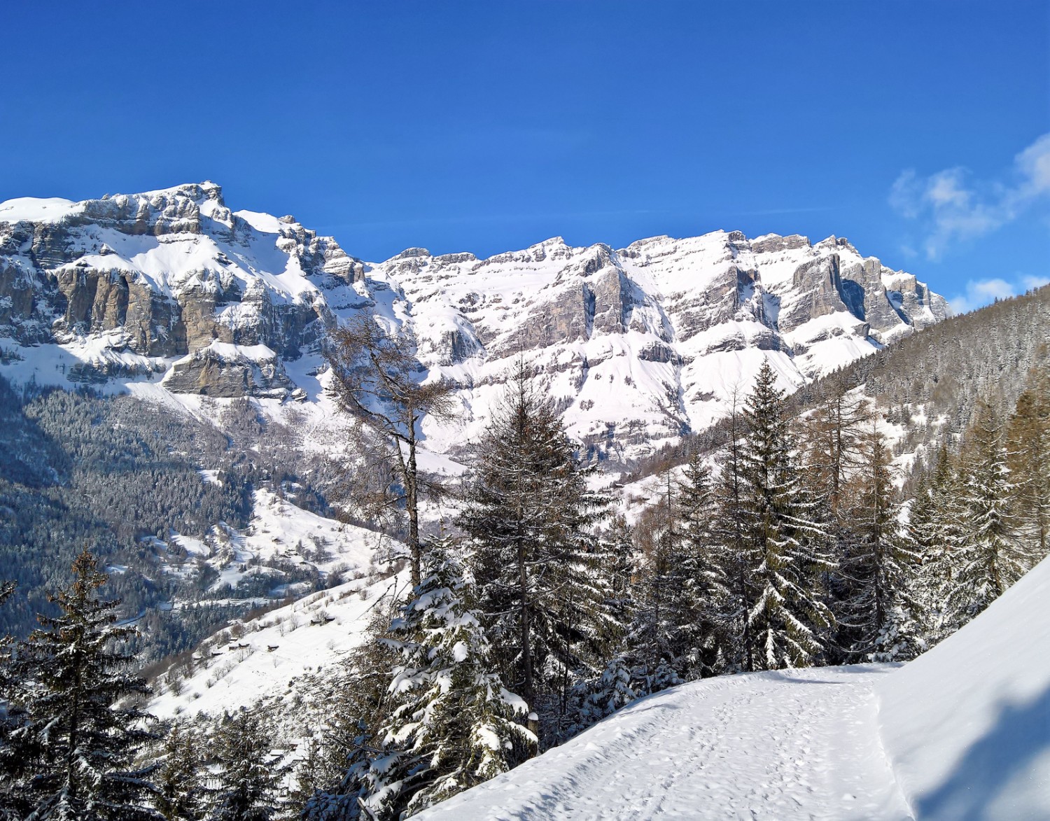 Ces chemins forestiers n'ont qu'une pente modérée. Photo: Andreas Staeger