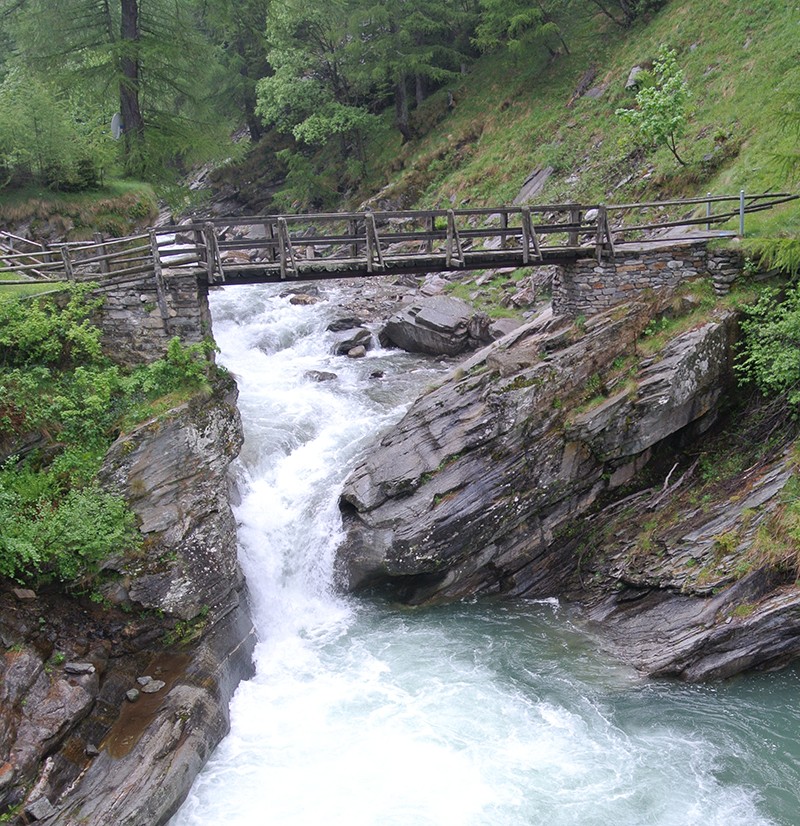 Le pont en bois est tout à fait du goût des randonneurs.