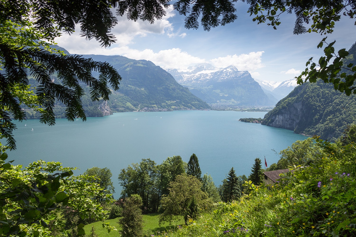 Immer Richtung Süden, dem Urnersee entlang. Hinten der Bristen im Reusstal. Bilder: Severin Nowacki