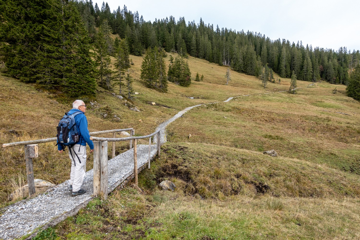 Auf dem gut ausgebauten Wanderweg durch die Moorlandschaften bei Rorboden.