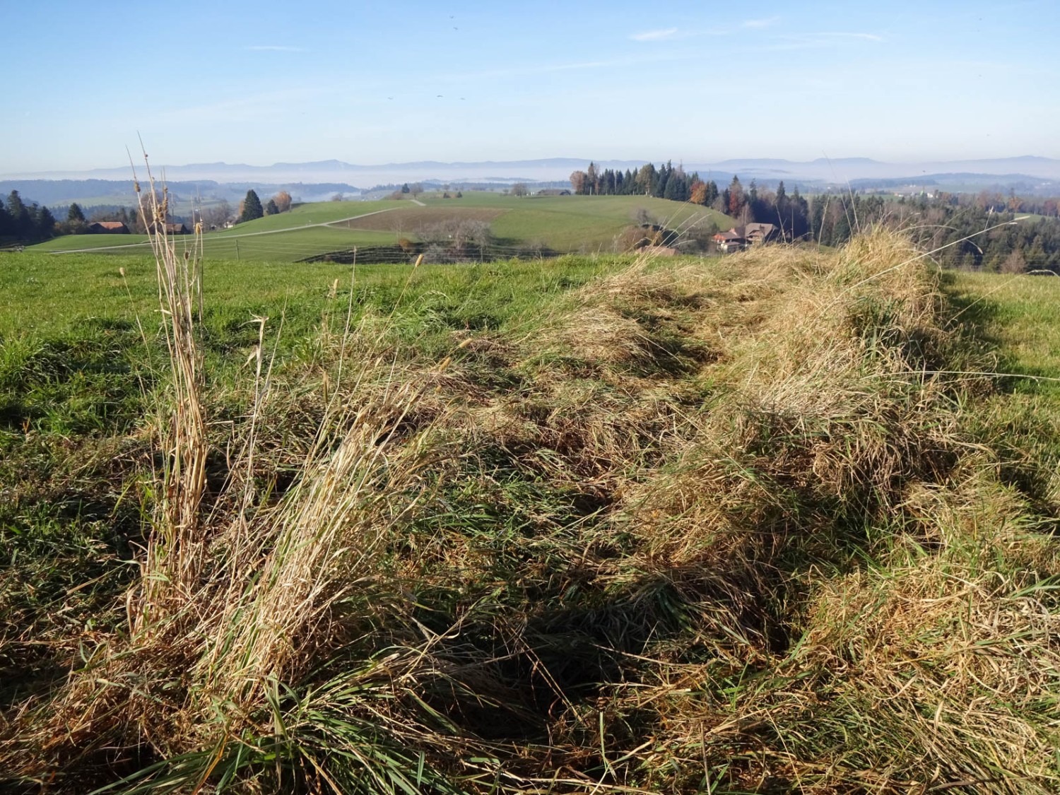 Die Aussicht erstreckt sich über die Ebene in der Umgebung von Huttwil. Bild: Miroslaw Halaba