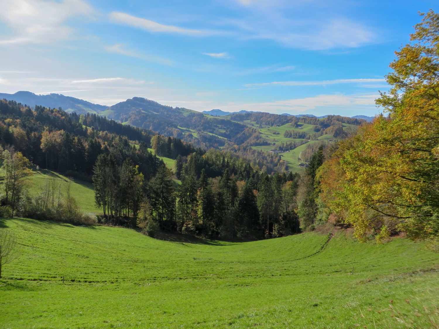 Novembertag bei Mogelsberg. Bilder: Sabine Joss