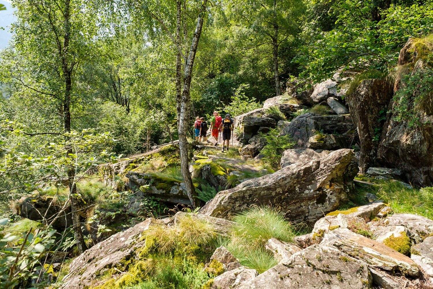 Sur les sentiers ancestraux, la randonnée mène paisiblement de Landarenca au fond de la vallée.