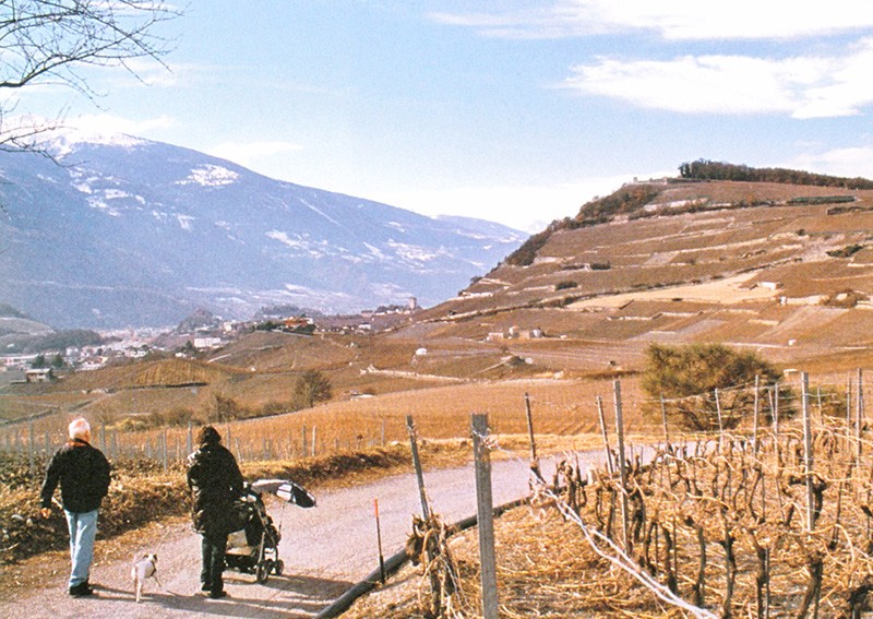 Vaste paysage sous le soleil printanier à l'est de Sierre. Photo: Franz Auf der Maur