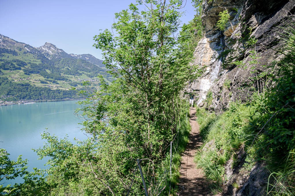 Die Wanderung beginnt ausserhalb des Dorfes und führt mehrheitlich entlang des Walensees… Bild: Jon Guler