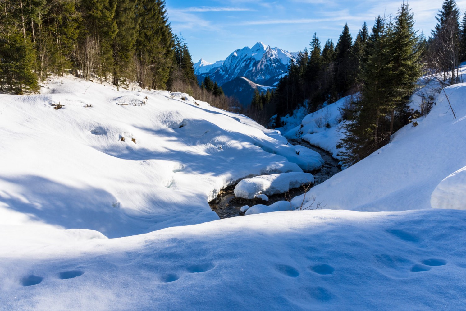 I raggi del sole dorati disegnano un suggestivo gioco di luci e ombre nella neve. Foto: Franz Ulrich