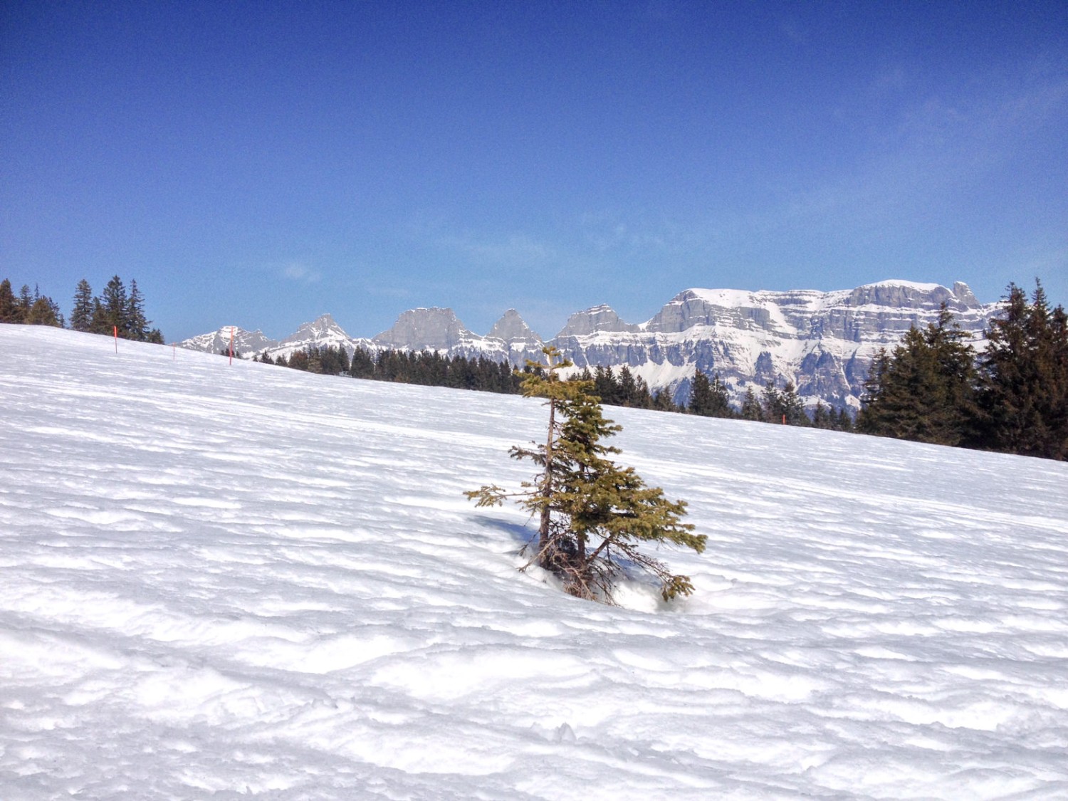 Les Churfirsten, encore et toujours… Photo: Claudia Peter