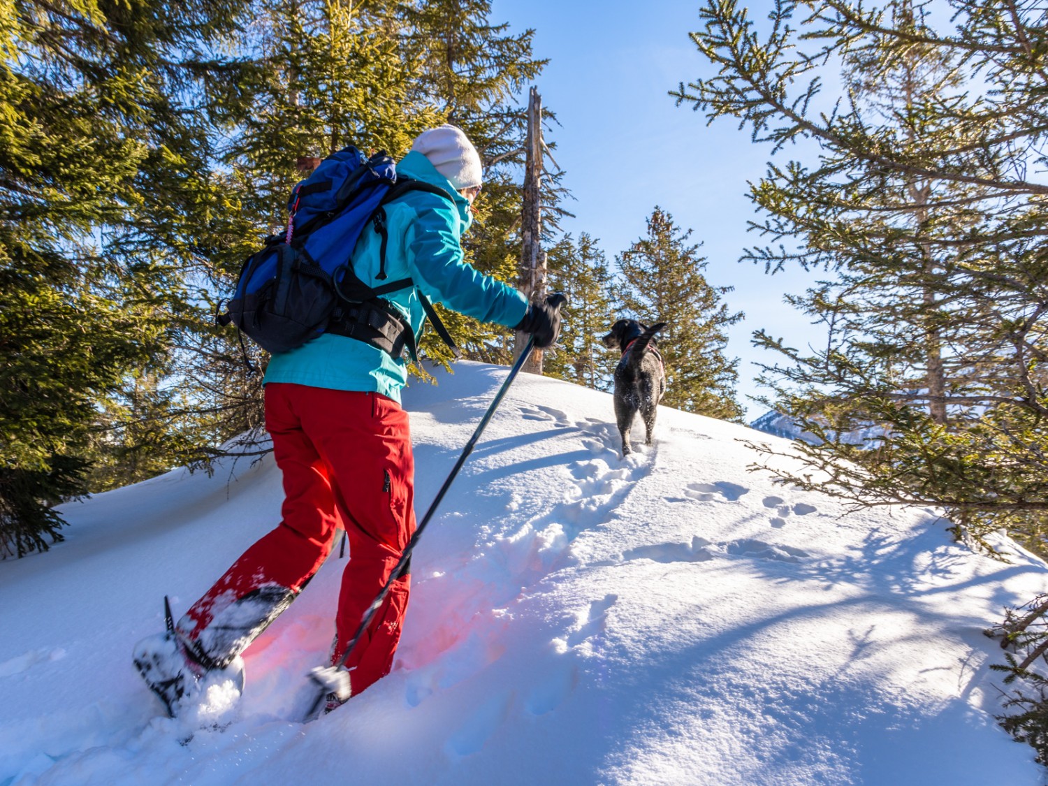 La piste grimpe légèrement sur tout le chemin du retour. Photo: Franz Ulrich