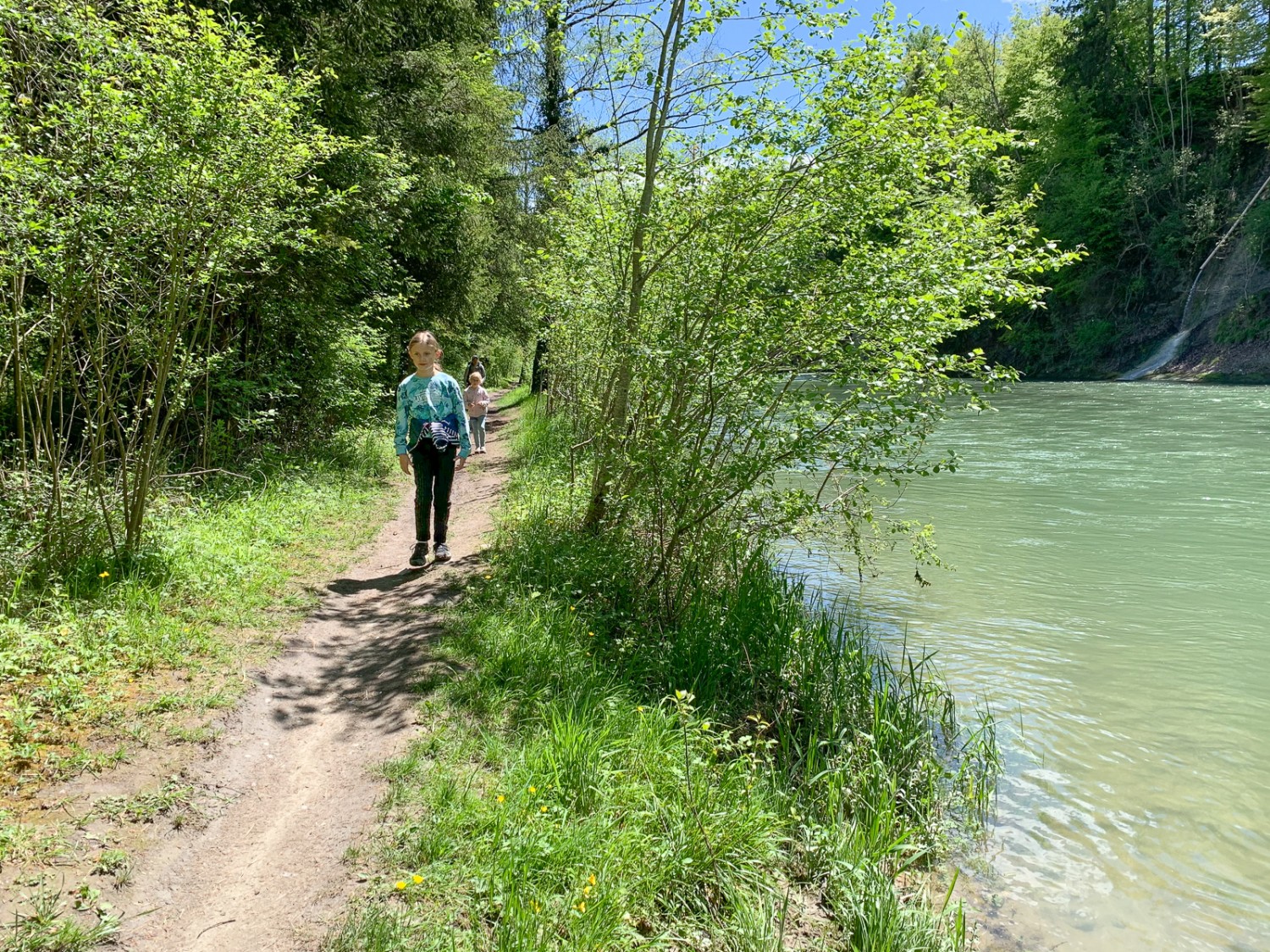 Kurz vor der Einmündung der Ärgera schlängelt sich ein gemütlicher Waldweg der Saane entlang. Bild: Monika Leuenberger