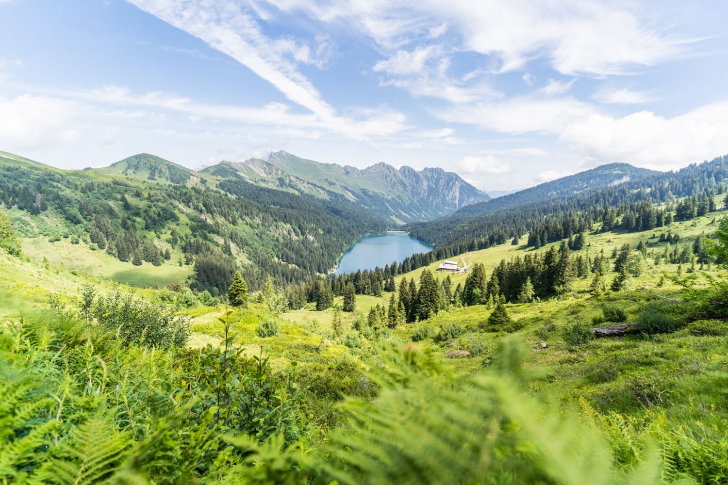 Der erste Tiefblick auf den Arnensee: Das blaue Juwel mitten in der grünen Landschaft.