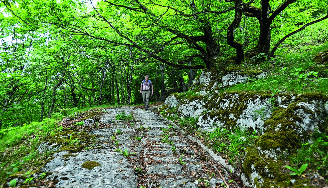 Un des 30 tracés au niveau de Vuitebœuf, accessible aux randonneurs. Les sillons permettaient d’éviter que les charrettes de sel ne basculent. Photo: Daniel Fuchs