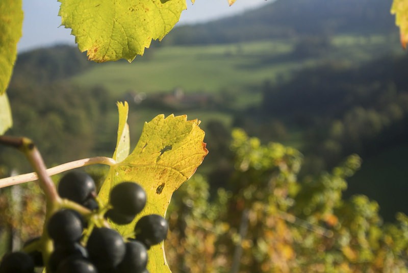 Die Landschaft wurde der Legende nach von Riesen geprägt... Bilder: Thomas Gloor