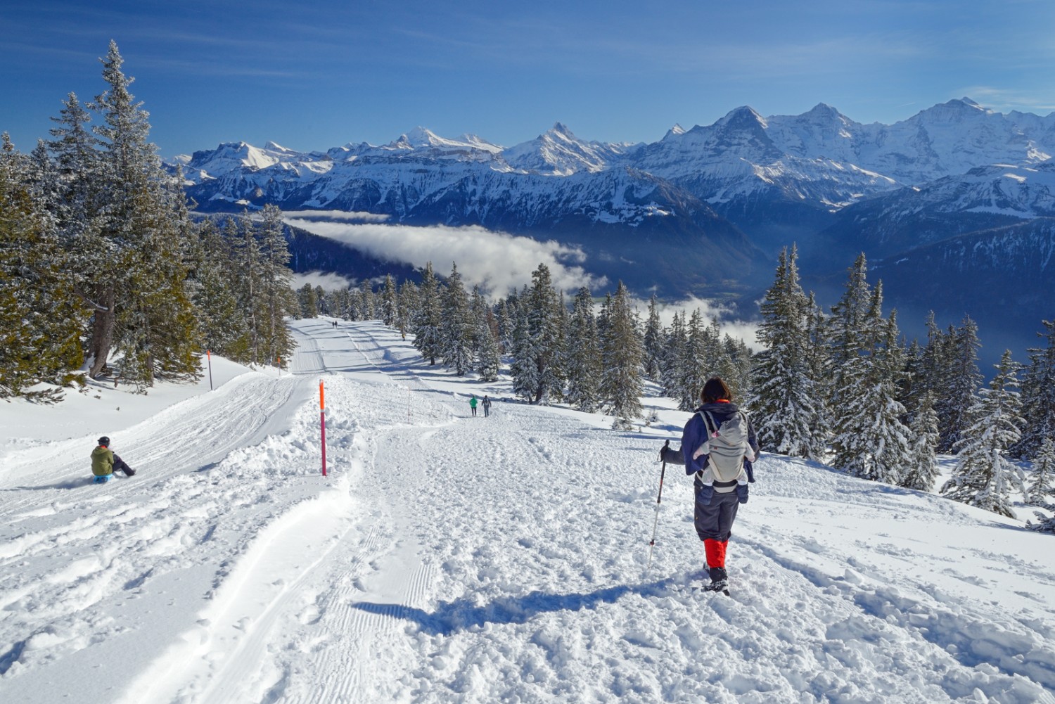 Zu Beginn folgt man dem Winterwanderweg.