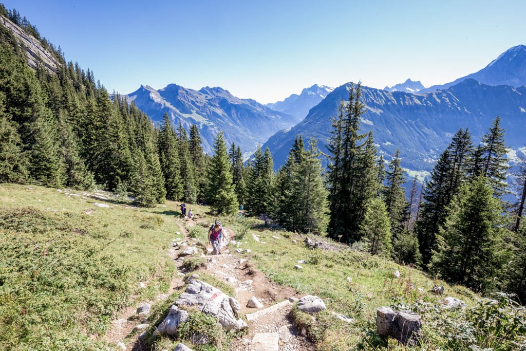 Der Alp Suls entgegen. Bald kommen die vierbeinigen Luftseilbahngäste. Bild: Daniel Fleuti