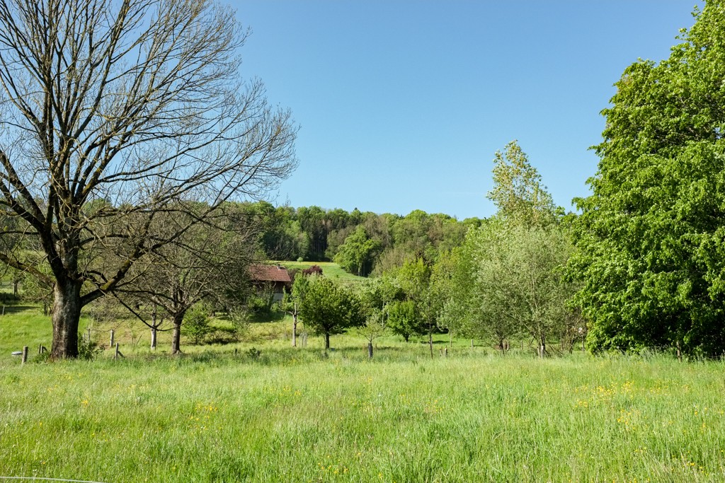 Stadtnahe Landidylle bei Stettbach. Bild: Claudia Peter