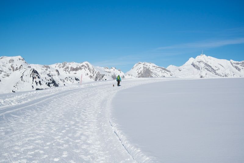 Auf der Hochebene mit bestem Blick auf den Säntis. Von hier geht es nun zurück zur Alp Sellamatt.