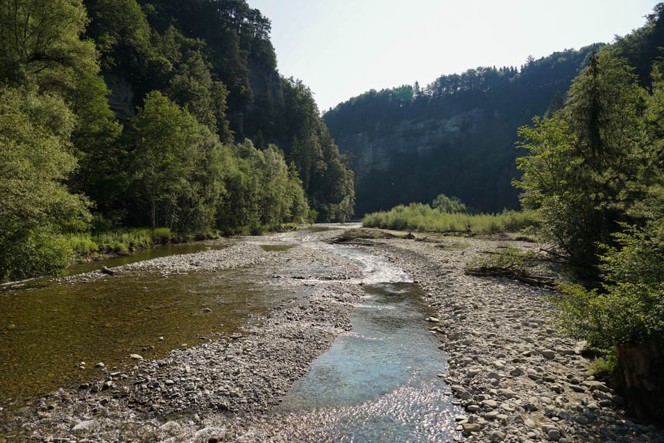 Im Schwarzenburgerland fliesst die Sense noch frei und wild.