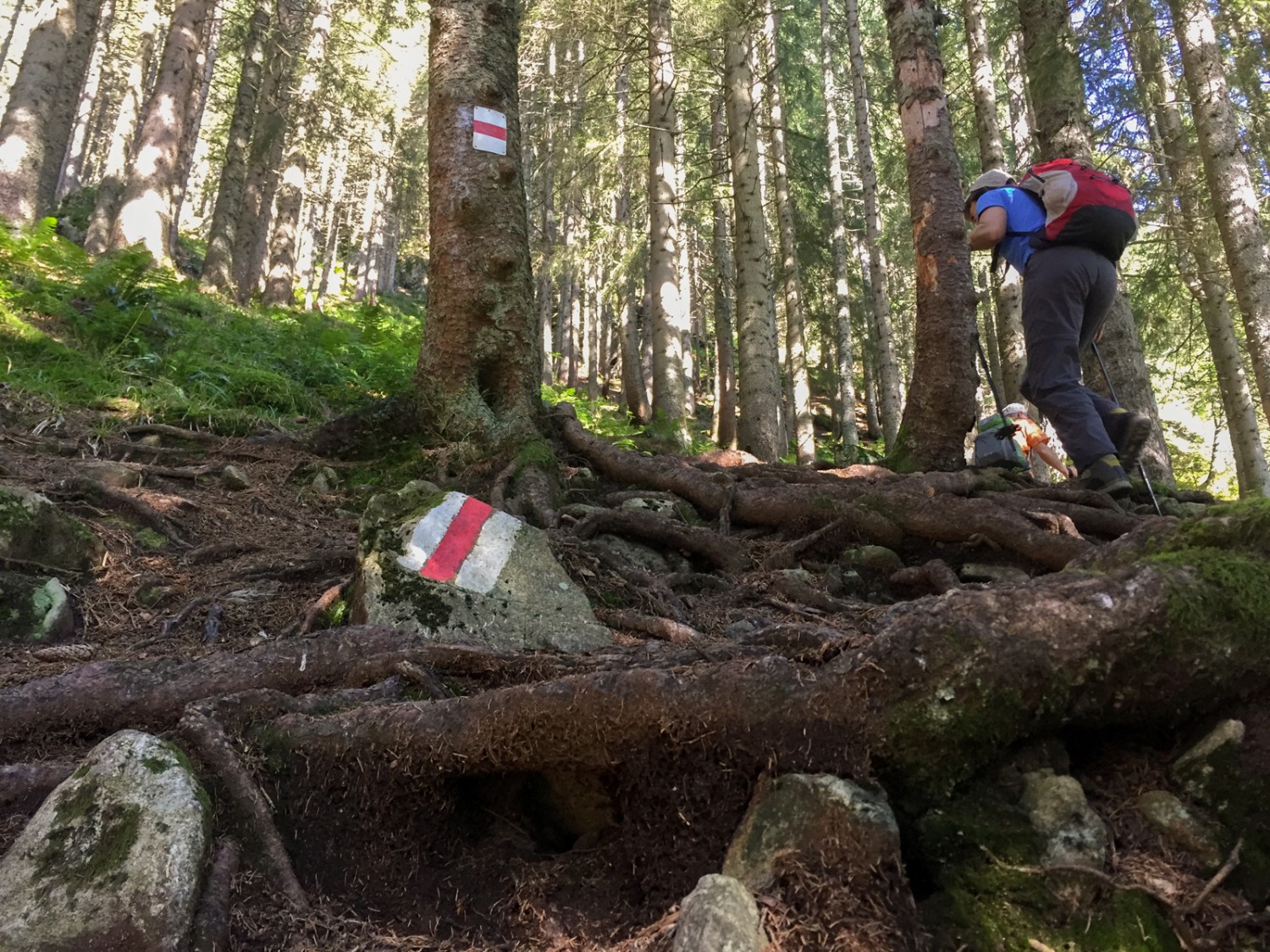 Le chemin commence par une montée. Photo: Vera In-Albon