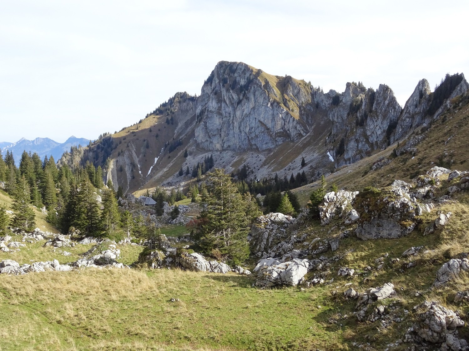 Vue sur la Dent de Hautadon sur le chemin du col de Bonaudon.