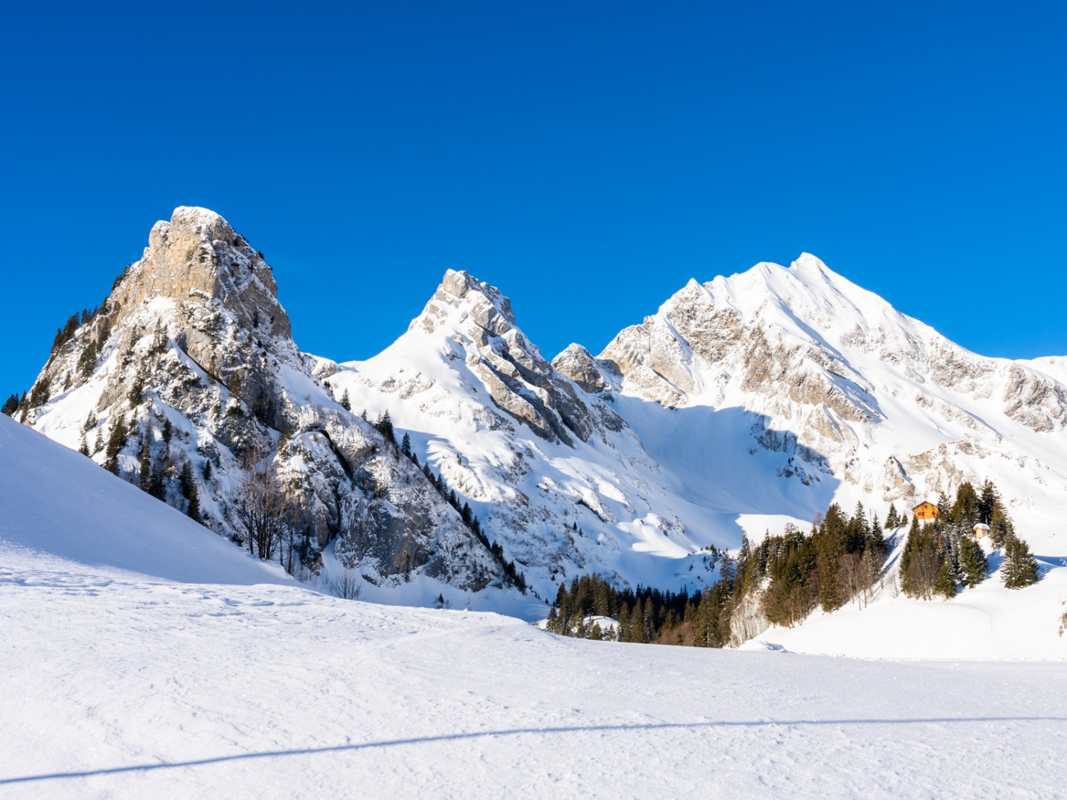 Schneeschuhtraum auf Gitschenen UR