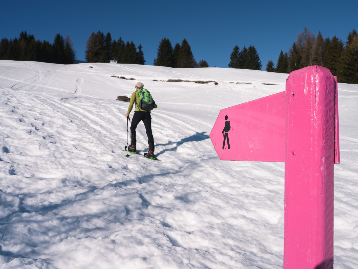 L’itinéraire est bien signalisé. Photo: Jon Guler