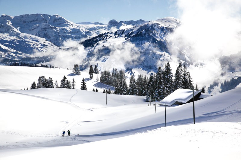 Vue sur le mont Rinderberg près de Zweisimmen et la Plaine Morte dans le fond. Photos: Sophie Scholl