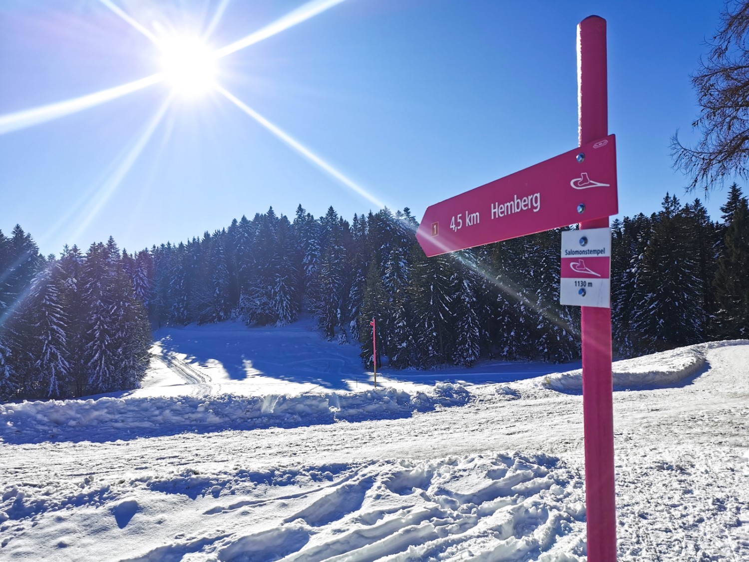 Perfekte Signalisation erleichtert die Orientierung. Bild: Andreas Staeger