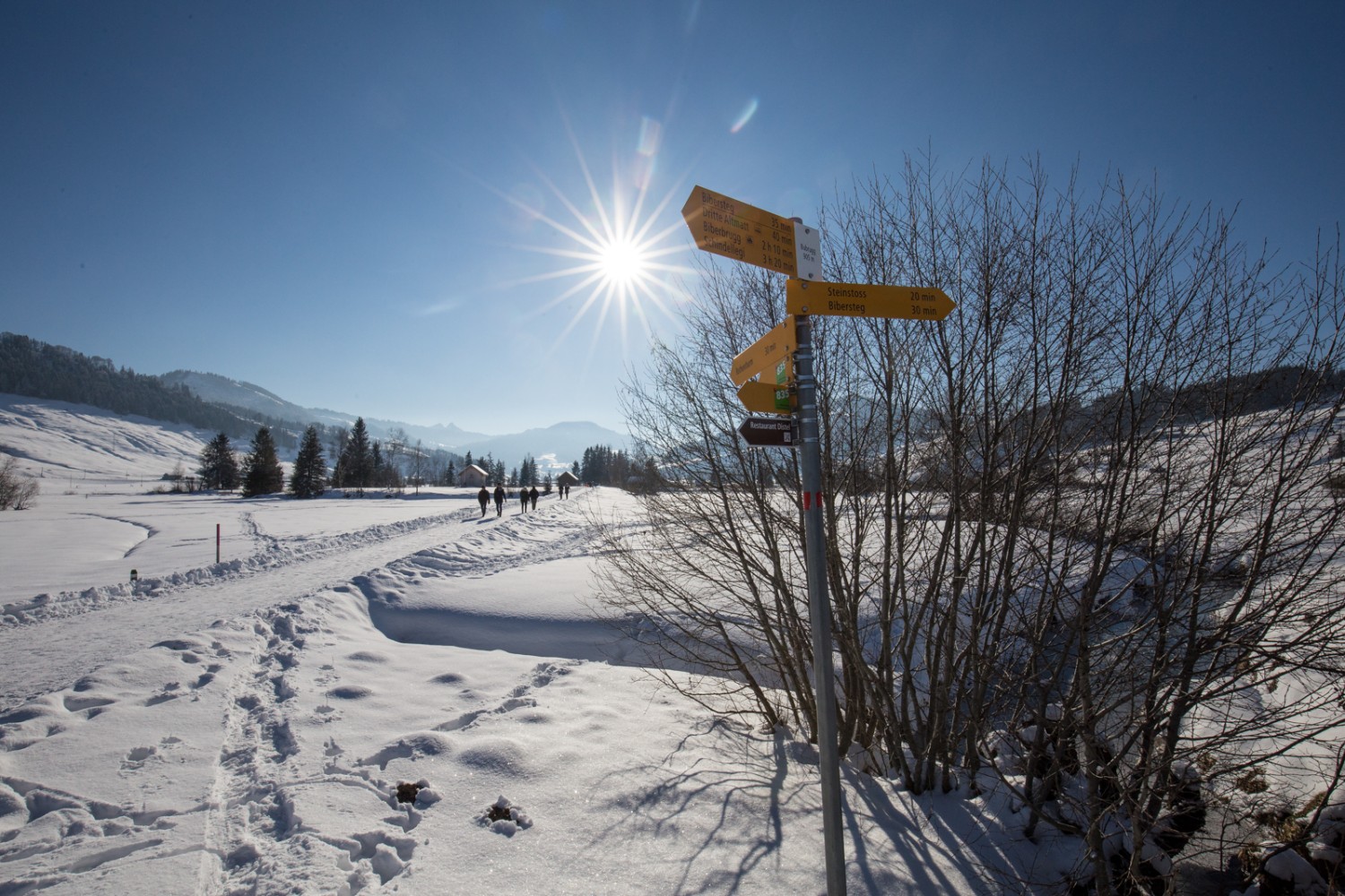 Die Winterwanderung von Rothenthurm nach Steinstoss der Sonne entgegen.