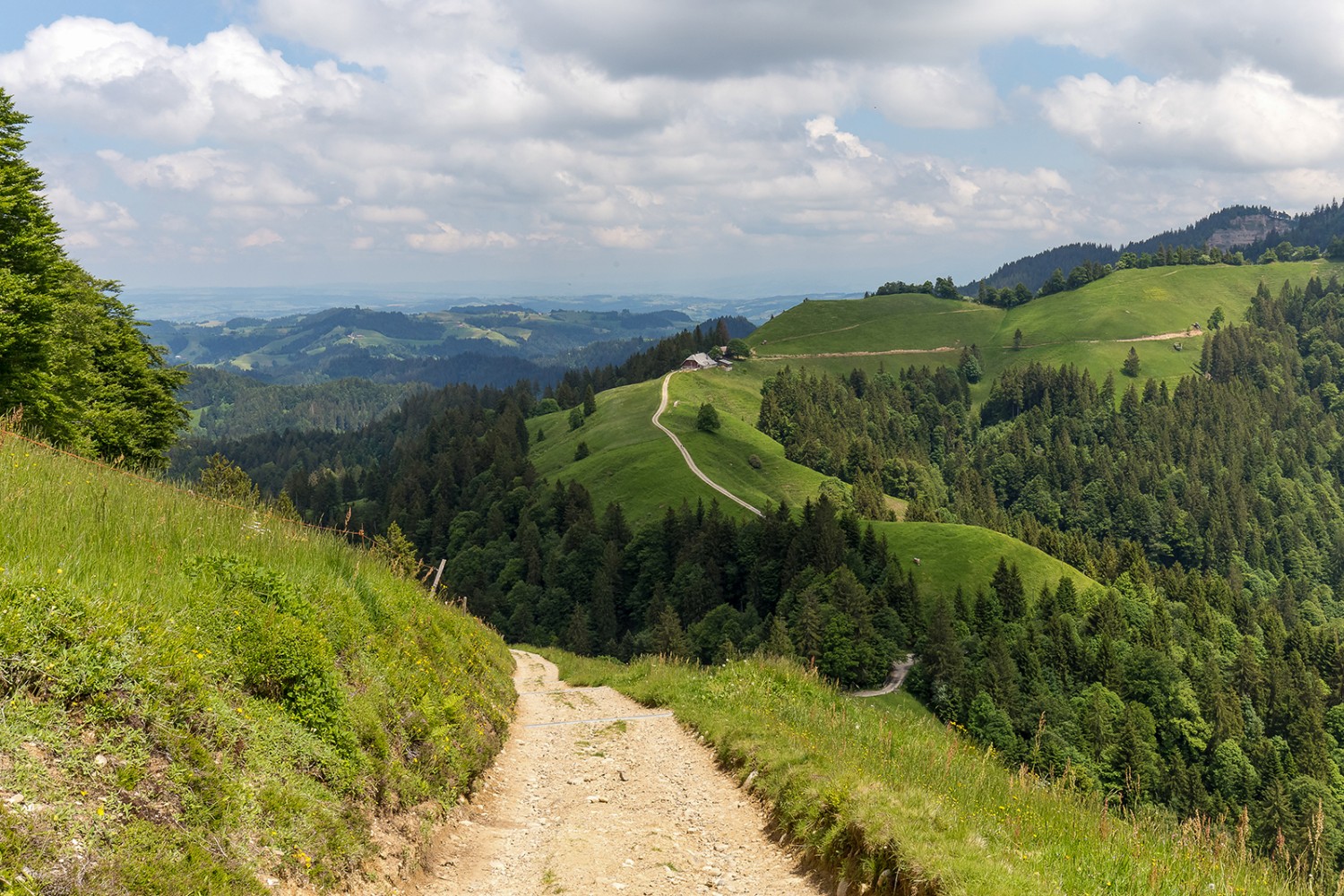 Paysage typique du Napf entre Hochänzi et Niederenzi.