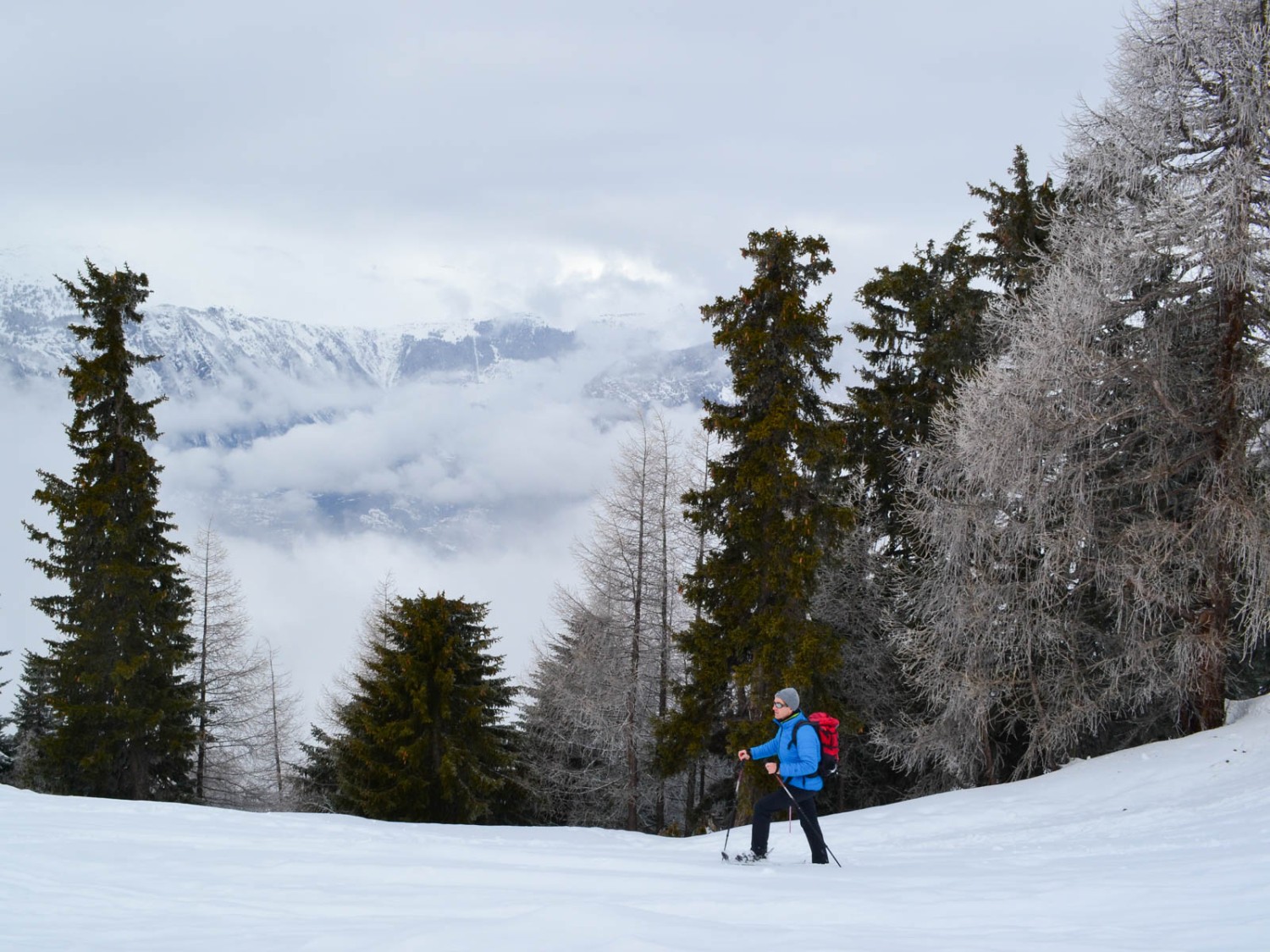 Auf der anderen Talseite taucht die Belalp auf. Bild: Sabine Joss