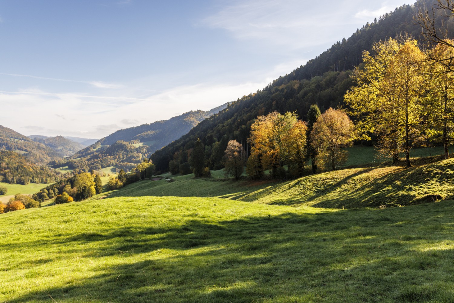 Vor Soubey bietet sich Richtung Osten ein schöner Ausblick auf das Relief des Doubs. Bild: Severin Nowacki