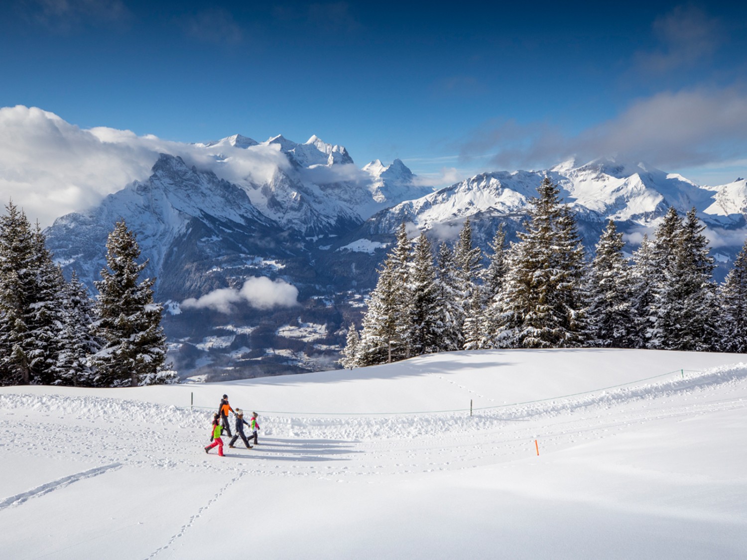 Profitez du magnifique panorama dans le paysage enneigé. Photo: David Birri, màd