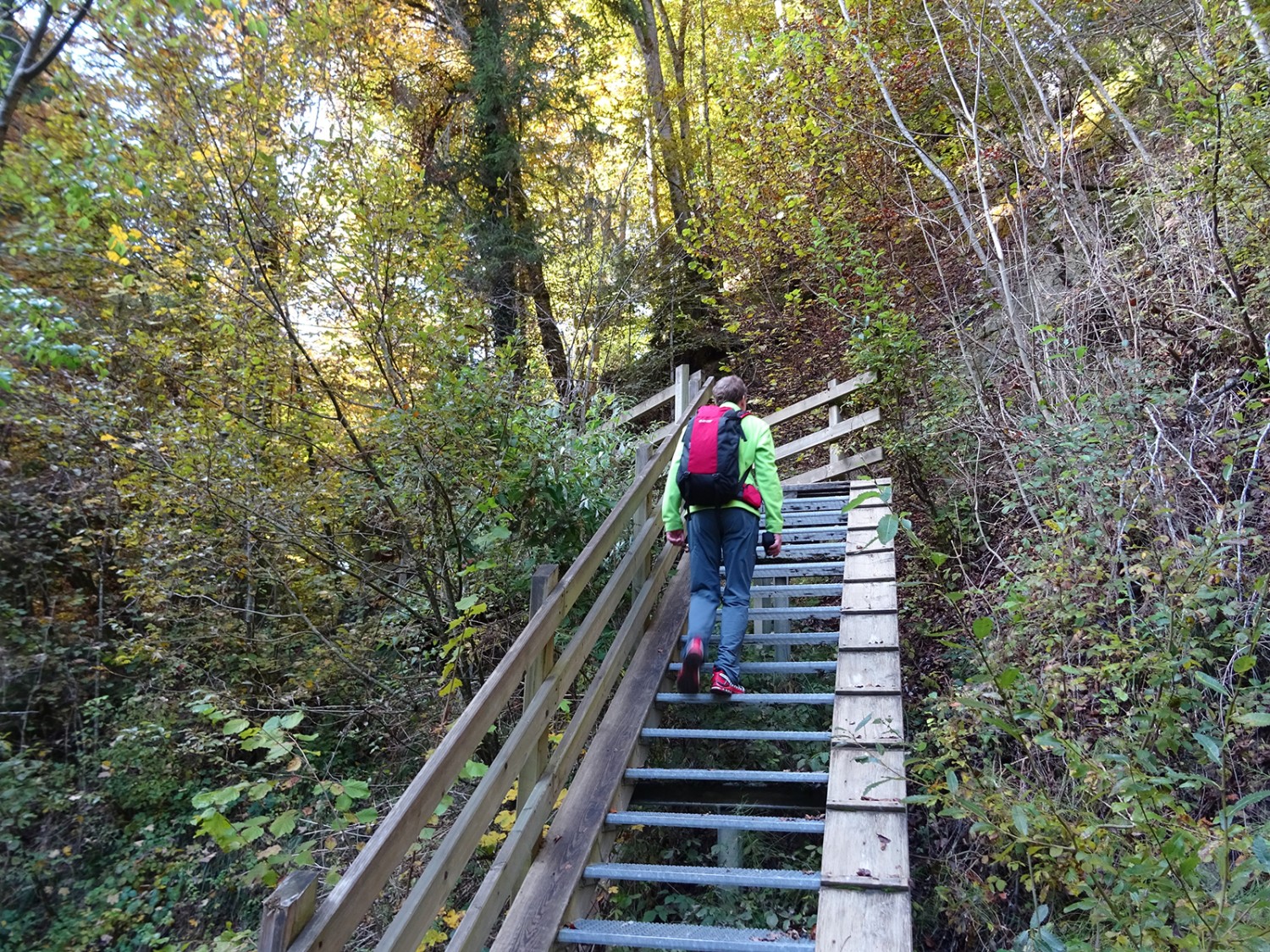 Rechts ist ein Brett montiert, um den vierbeinigen Begleitern auf der Gittertreppe den Auf- oder Abstieg zu erleichtern.