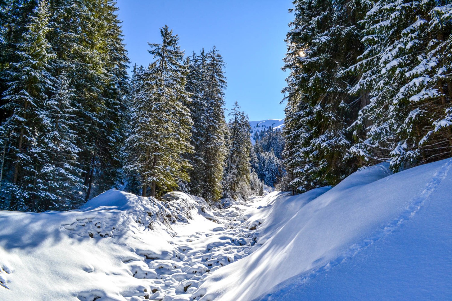 Märchenhaft verschneiter Waldbach ob Schönenbode. Bild: Sabine Joss