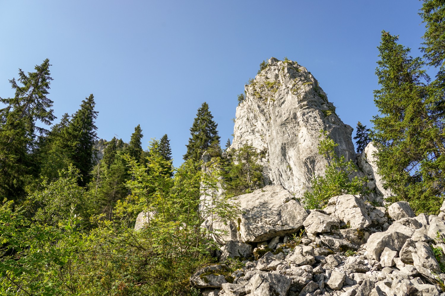 Le Chli Schijen, l’une des étonnantes klippes de Schwyz. Photo: Reto Wissmann