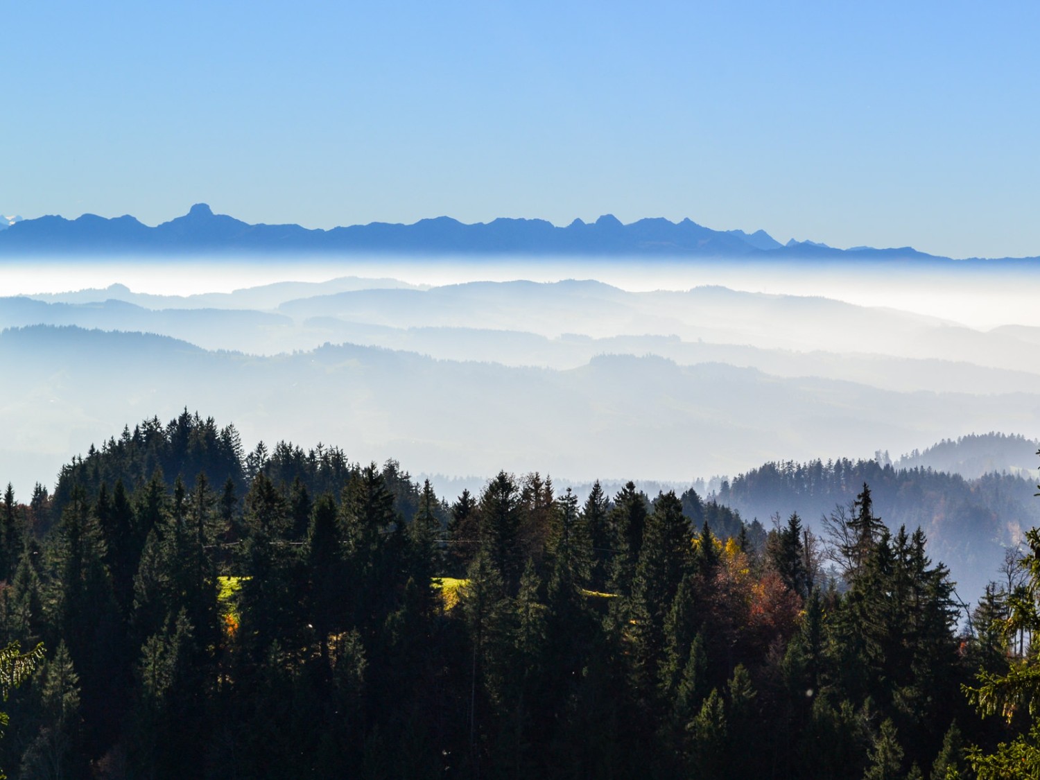 Auch die Stockhornkette ragt über den Nebel. Bild: Sabine Joss