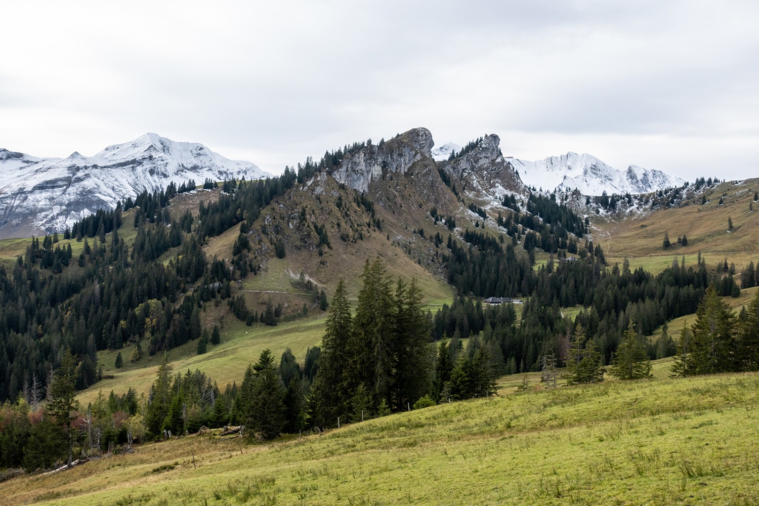 Rückblick zu den Felsen des Rotspitz und zur Brienzerrothornkette dahinter.